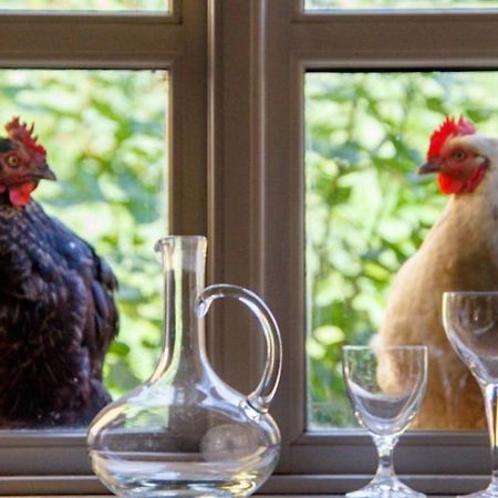 Lindenhof Chezartistes Hotel Loose Eksteriør billede