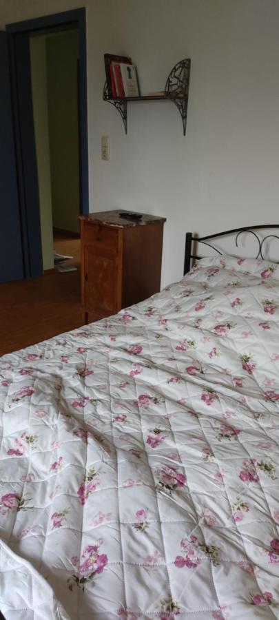 Lindenhof Chezartistes Hotel Loose Eksteriør billede